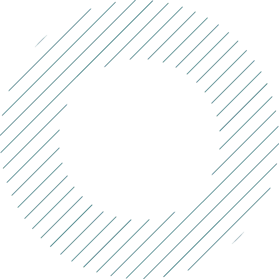 CezbitMax - The CezbitMax Transformation